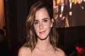 Emma Watson's Love Life Unveiled: Exploring the Mysteries of Her Relationships - SarkariResult
