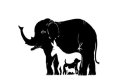 Optical illusion challenge: Only 3% People Can Find All Hidden 13 Animals within 10 Seconds.